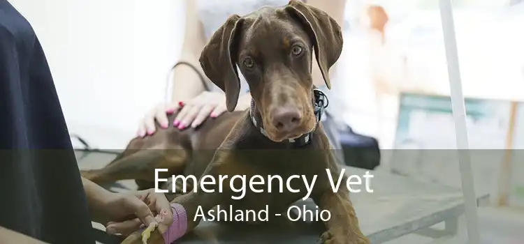 Emergency Vet Ashland - Ohio