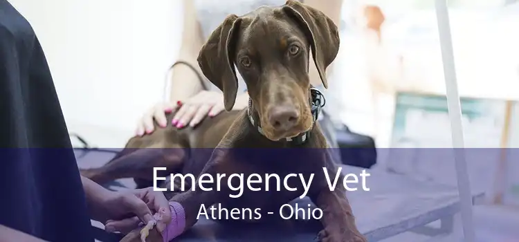 Emergency Vet Athens - Ohio