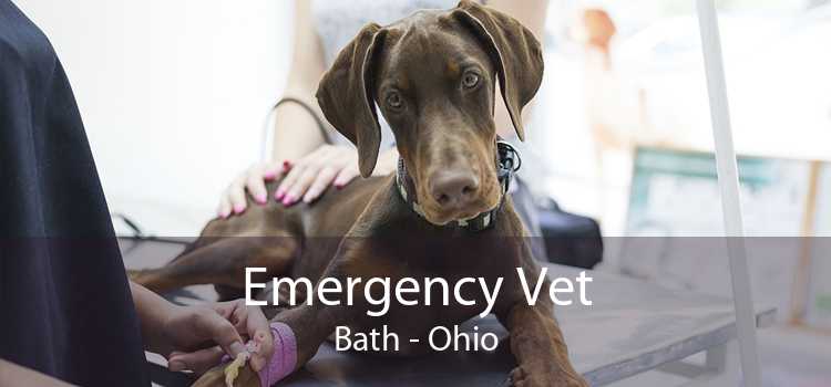 Emergency Vet Bath - Ohio