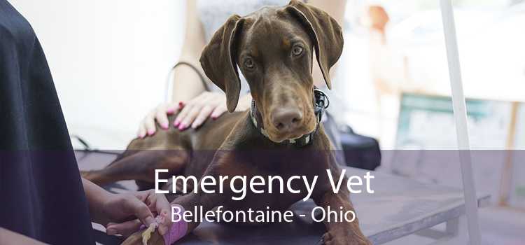 Emergency Vet Bellefontaine - Ohio