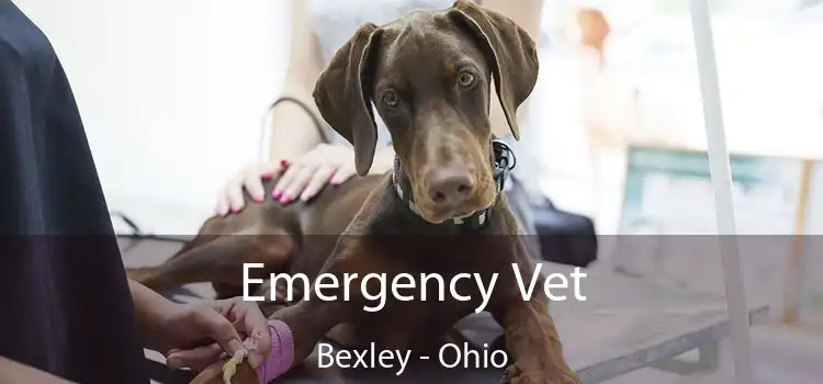 Emergency Vet Bexley - Ohio