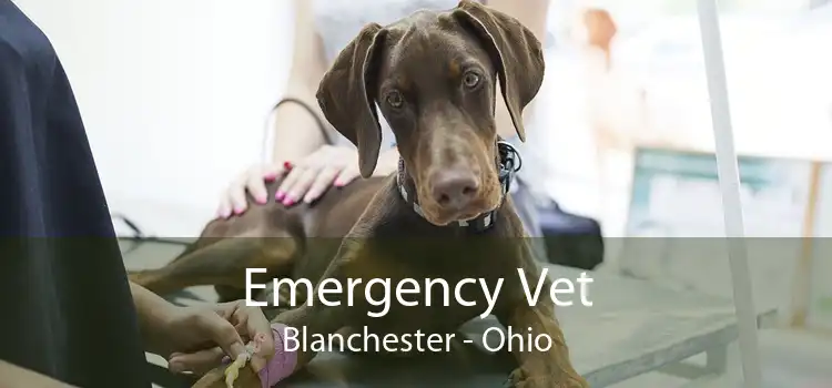 Emergency Vet Blanchester - Ohio