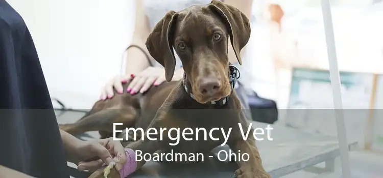 Emergency Vet Boardman - Ohio
