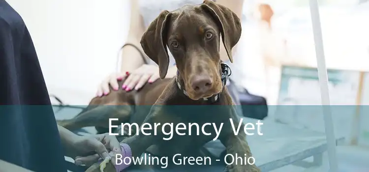 Emergency Vet Bowling Green - Ohio