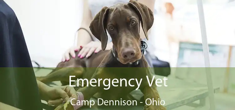 Emergency Vet Camp Dennison - Ohio