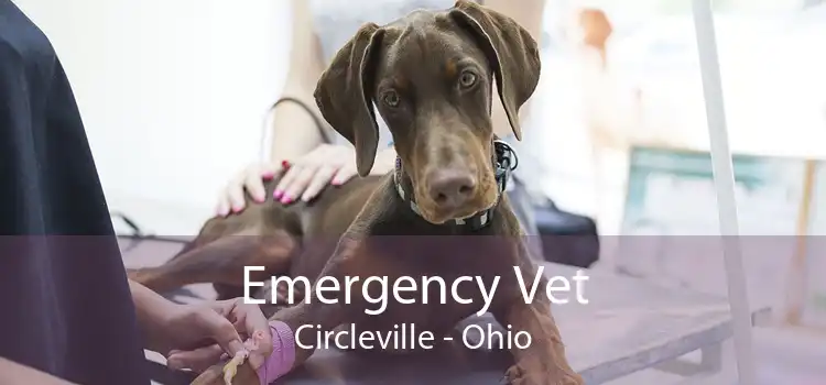 Emergency Vet Circleville - Ohio