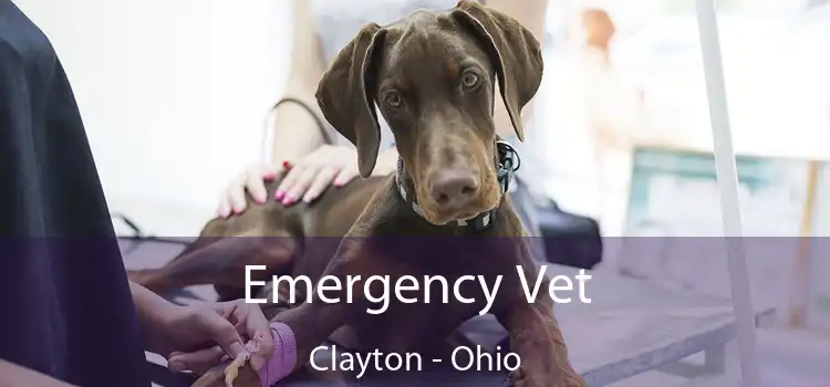 Emergency Vet Clayton - Ohio
