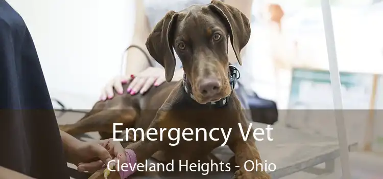 Emergency Vet Cleveland Heights - Ohio