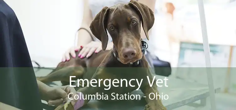 Emergency Vet Columbia Station - Ohio