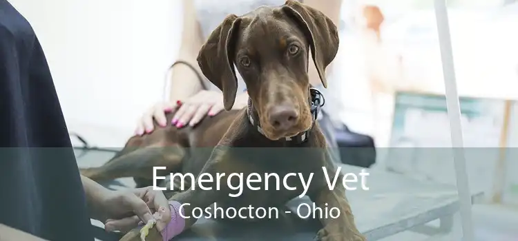 Emergency Vet Coshocton - Ohio