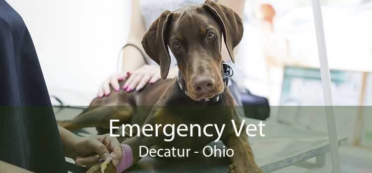 Emergency Vet Decatur - Ohio