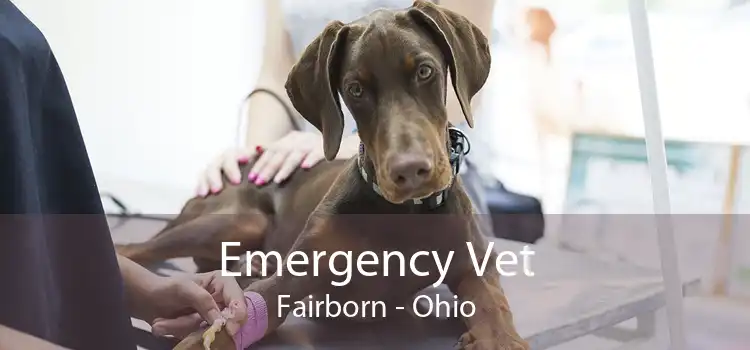 Emergency Vet Fairborn - Ohio