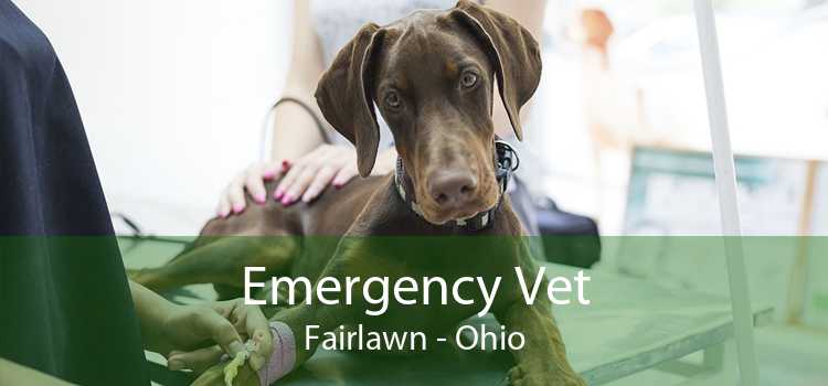 Emergency Vet Fairlawn - Ohio