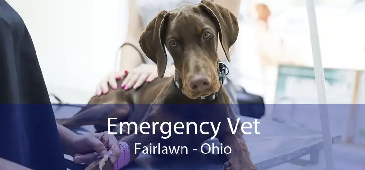 Emergency Vet Fairlawn - Ohio