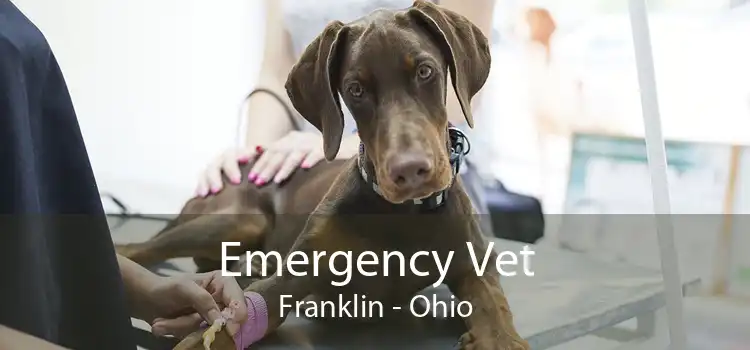 Emergency Vet Franklin - Ohio