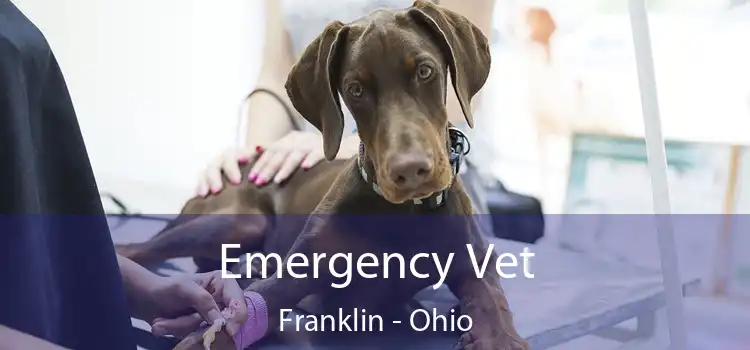Emergency Vet Franklin - Ohio
