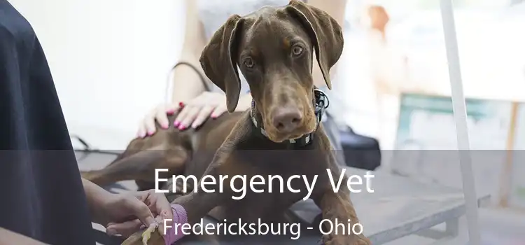Emergency Vet Fredericksburg - Ohio