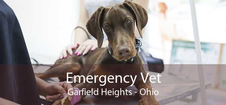 Emergency Vet Garfield Heights - Ohio