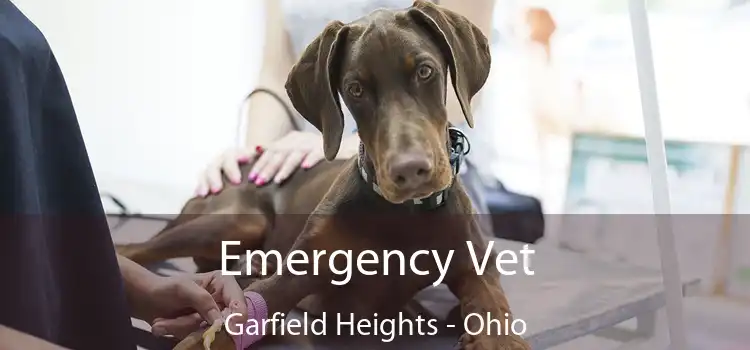 Emergency Vet Garfield Heights - Ohio
