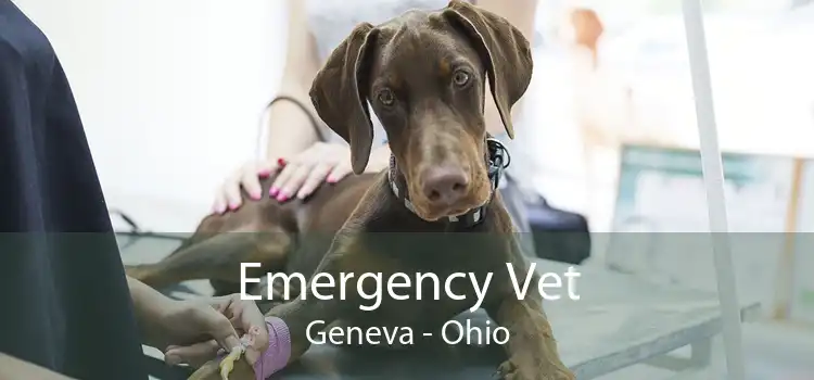 Emergency Vet Geneva - Ohio