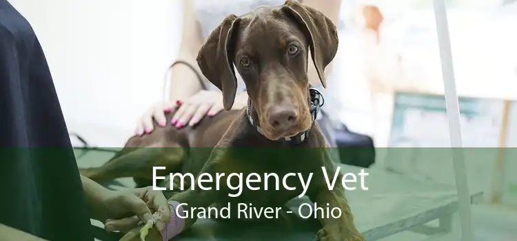Emergency Vet Grand River - Ohio