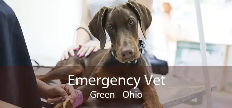 Emergency Vet Green - Ohio