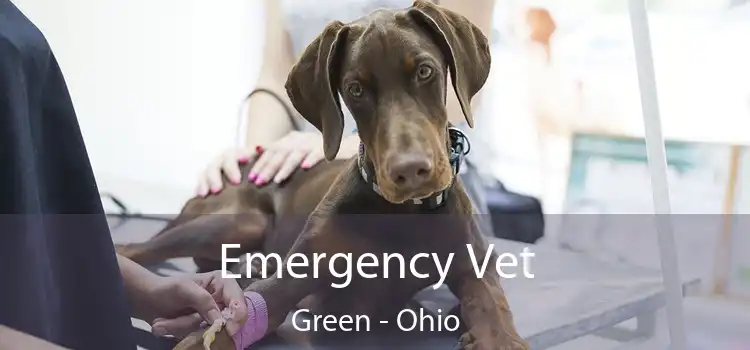 Emergency Vet Green - Ohio