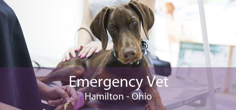 Emergency Vet Hamilton - Ohio