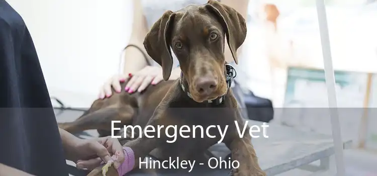 Emergency Vet Hinckley - Ohio