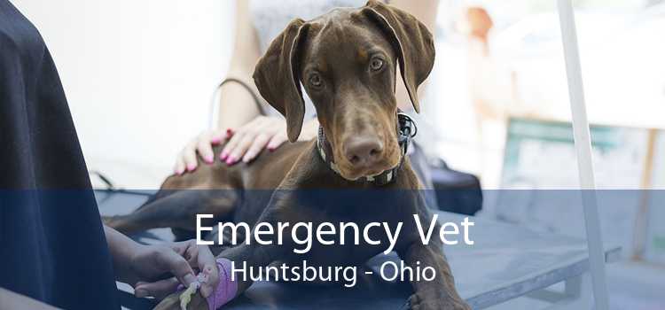 Emergency Vet Huntsburg - Ohio