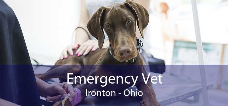 Emergency Vet Ironton - Ohio