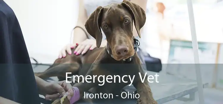 Emergency Vet Ironton - Ohio