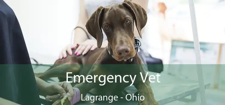 Emergency Vet Lagrange - Ohio