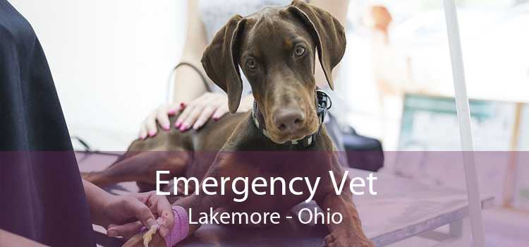 Emergency Vet Lakemore - Ohio