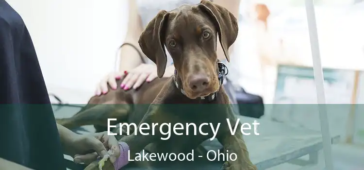 Emergency Vet Lakewood - Ohio