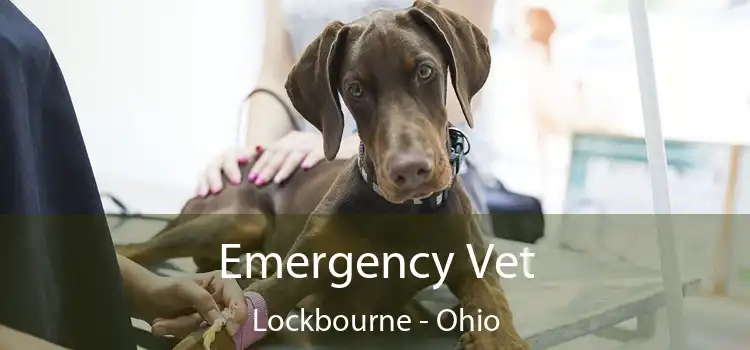 Emergency Vet Lockbourne - Ohio