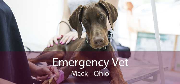 Emergency Vet Mack - Ohio