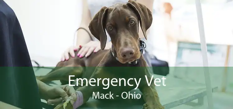 Emergency Vet Mack - Ohio