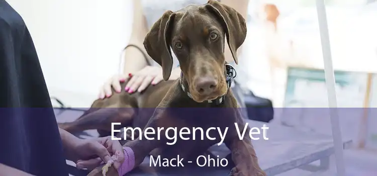 Emergency Vet Mack - Ohio