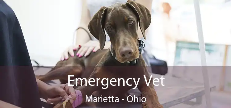 Emergency Vet Marietta - Ohio