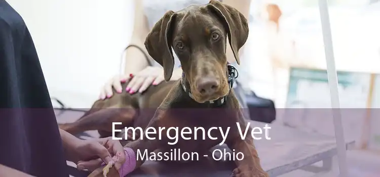 Emergency Vet Massillon - Ohio