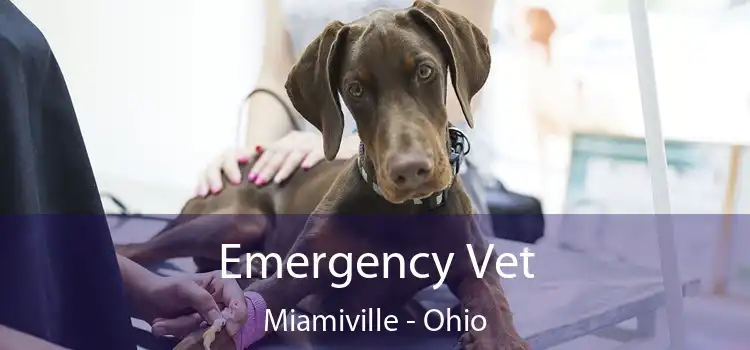 Emergency Vet Miamiville - Ohio