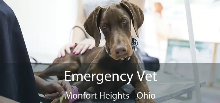 Emergency Vet Monfort Heights - Ohio