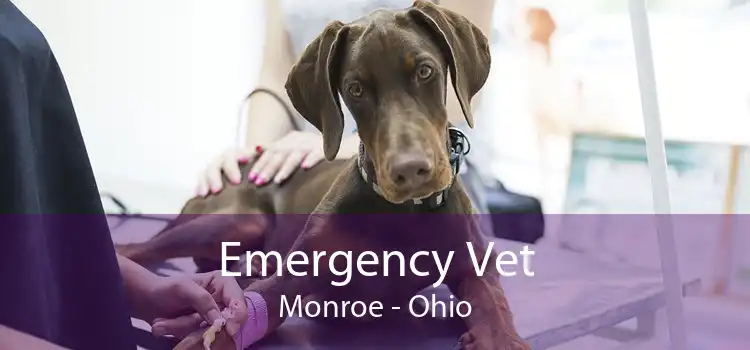 Emergency Vet Monroe - Ohio