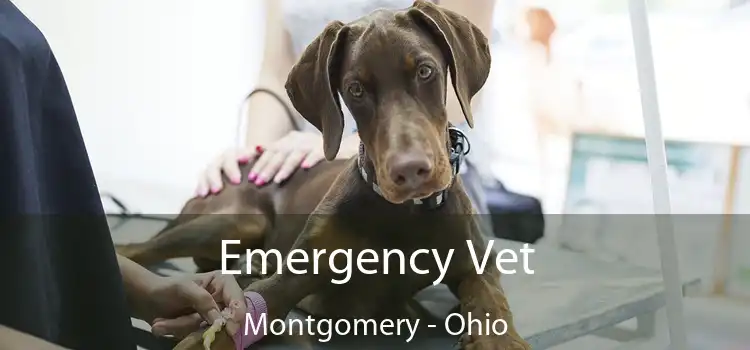 Emergency Vet Montgomery - Ohio