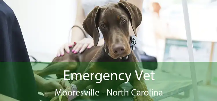 Emergency Vet Mooresville - North Carolina