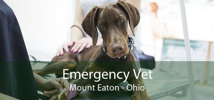 Emergency Vet Mount Eaton - Ohio
