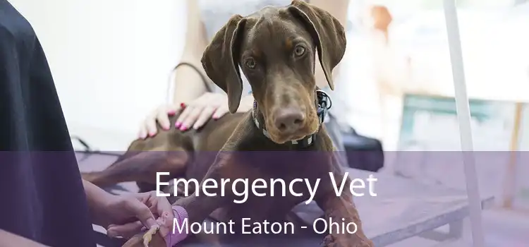 Emergency Vet Mount Eaton - Ohio