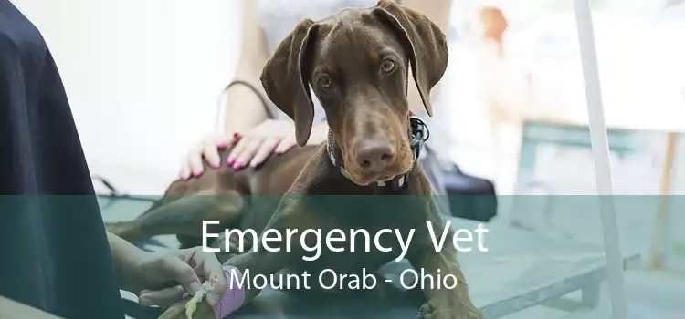 Emergency Vet Mount Orab - Ohio