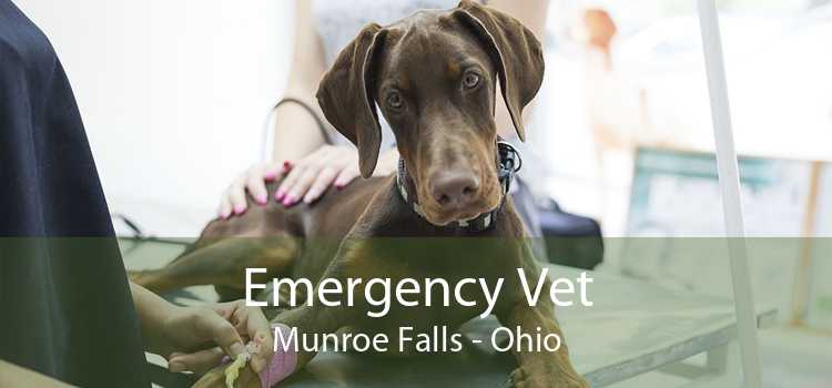 Emergency Vet Munroe Falls - Ohio